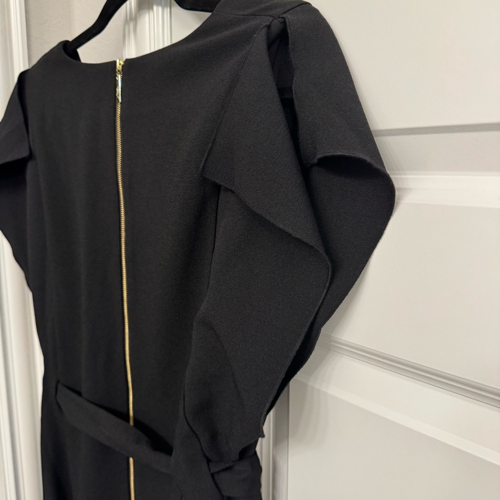 Eliza J Ruffle Sleeve Sheath Dress - Picture 4 of 6